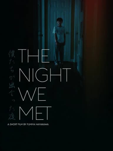The Night We Met