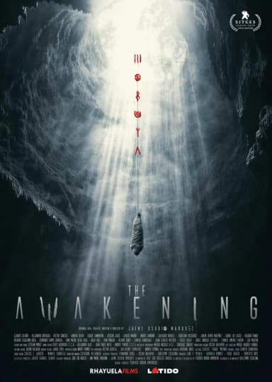 The Awakening