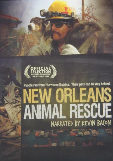 New Orleans Animal Rescue