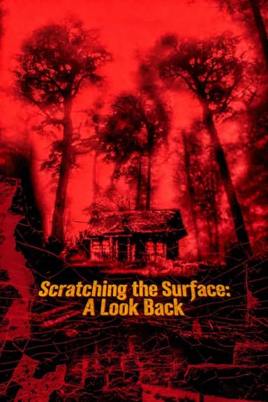 Scratching the Surface: A Look Back