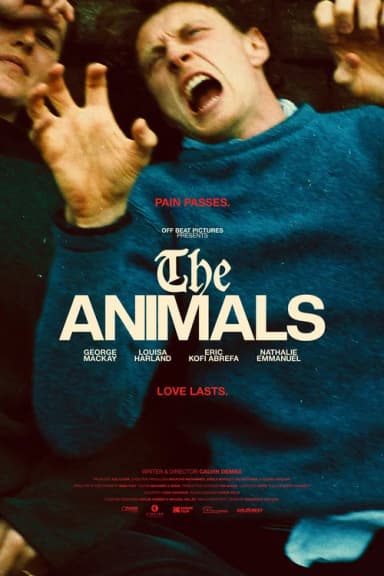 The Animals