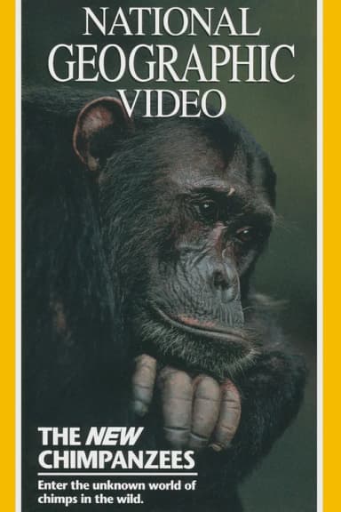 The New Chimpanzees