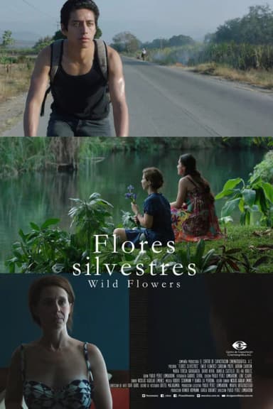 Wild Flowers