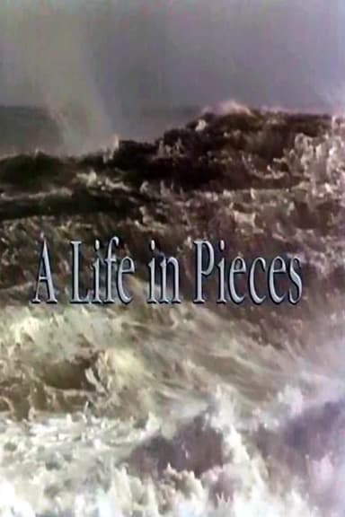 A Life In Pieces