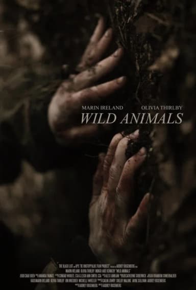 Wild Animals