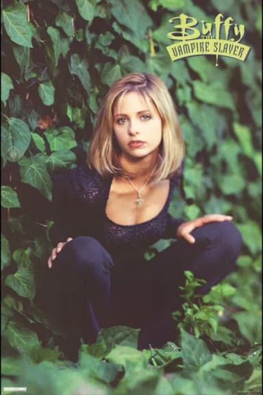 Buffy the Vampire Slayer