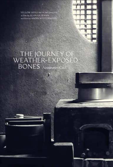 The Journey of Weather-Exposed Bones