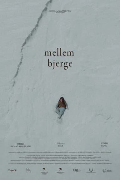 Mellem Bjerge