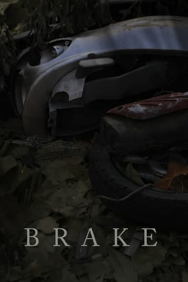 Brake