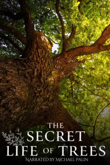 The Secret Life of Trees
