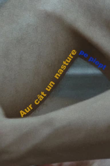 Aur cât un nasture pe piept
