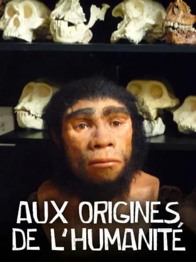 Aux origines de l'humanité