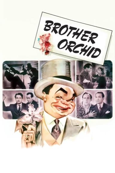 Brother Orchid