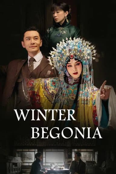 Winter Begonia