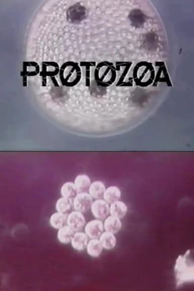 Protozoa