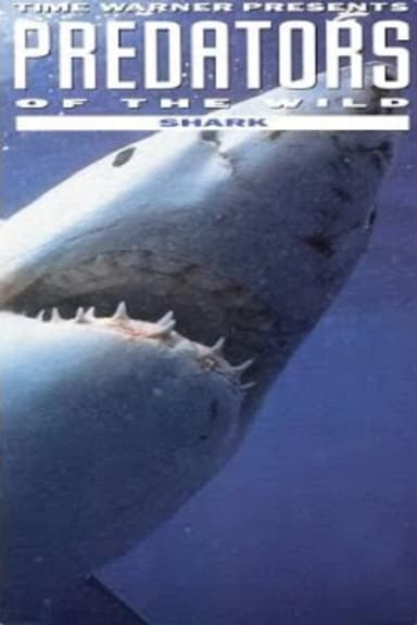 Predators of the Wild: Shark