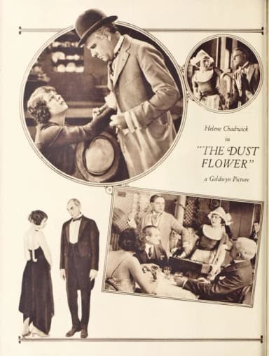 The Dust Flower