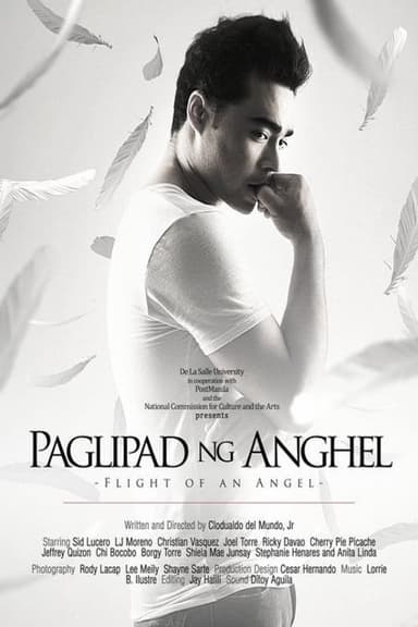 Flight of an Angel