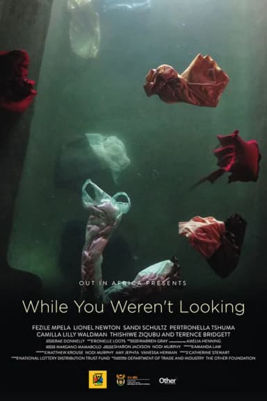 While You Weren't Looking