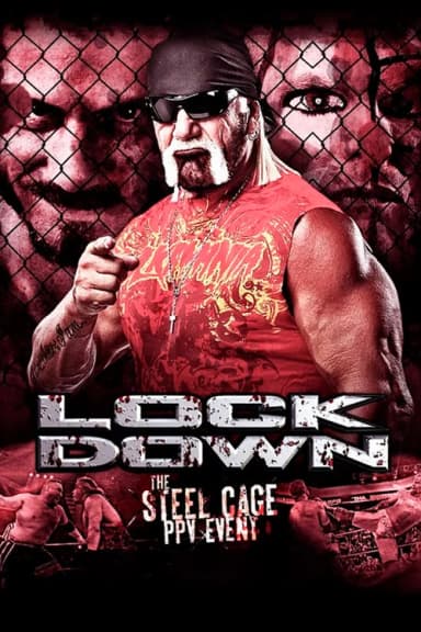 TNA Lockdown 2013